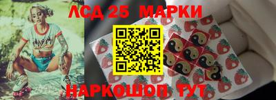 apvp Гатчина