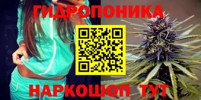 apvp Гатчина