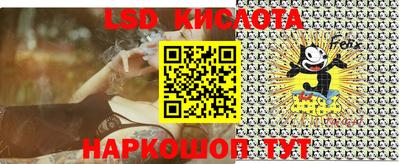 apvp Гатчина