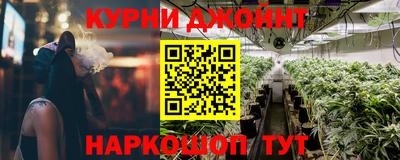 apvp Гатчина