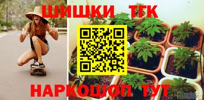 apvp Гатчина