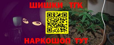 apvp Гатчина