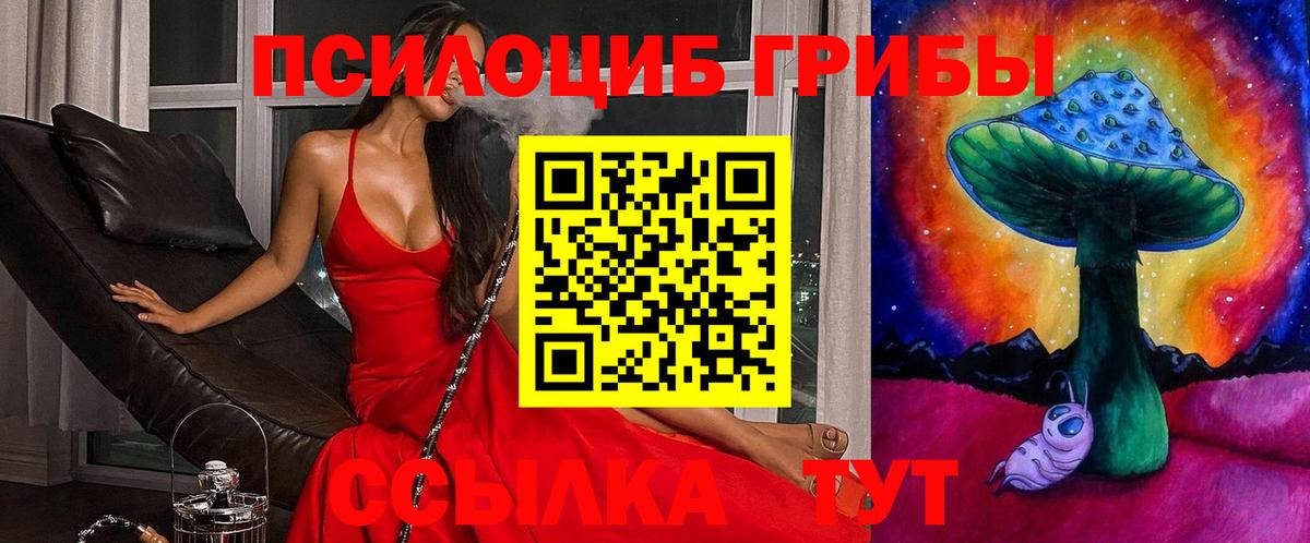 Псилоцибиновые грибы Cubensis Волхов