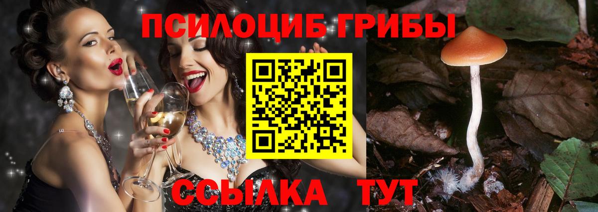 Волхов  Галлюциногенные грибы GOLDEN TEACHER  Вход с VPN 