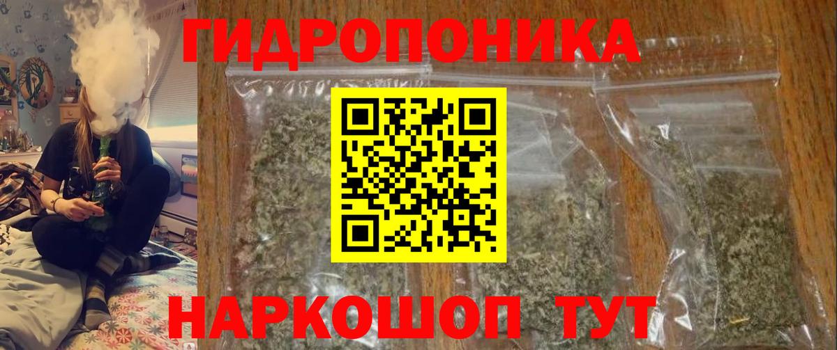 Волхов  Шишки марихуана White Widow  Вход с VPN  Бошки марихуана план  Шишки марихуана марихуана  Конопля ГИДРОПОН 